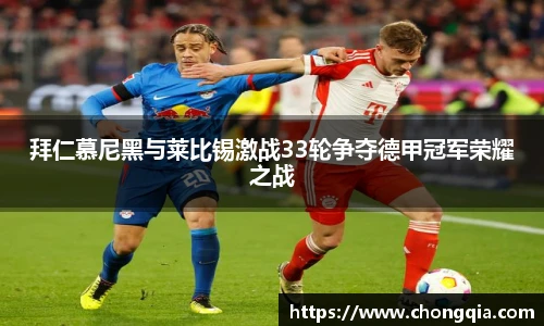 智博19