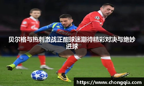 智博19有限公司